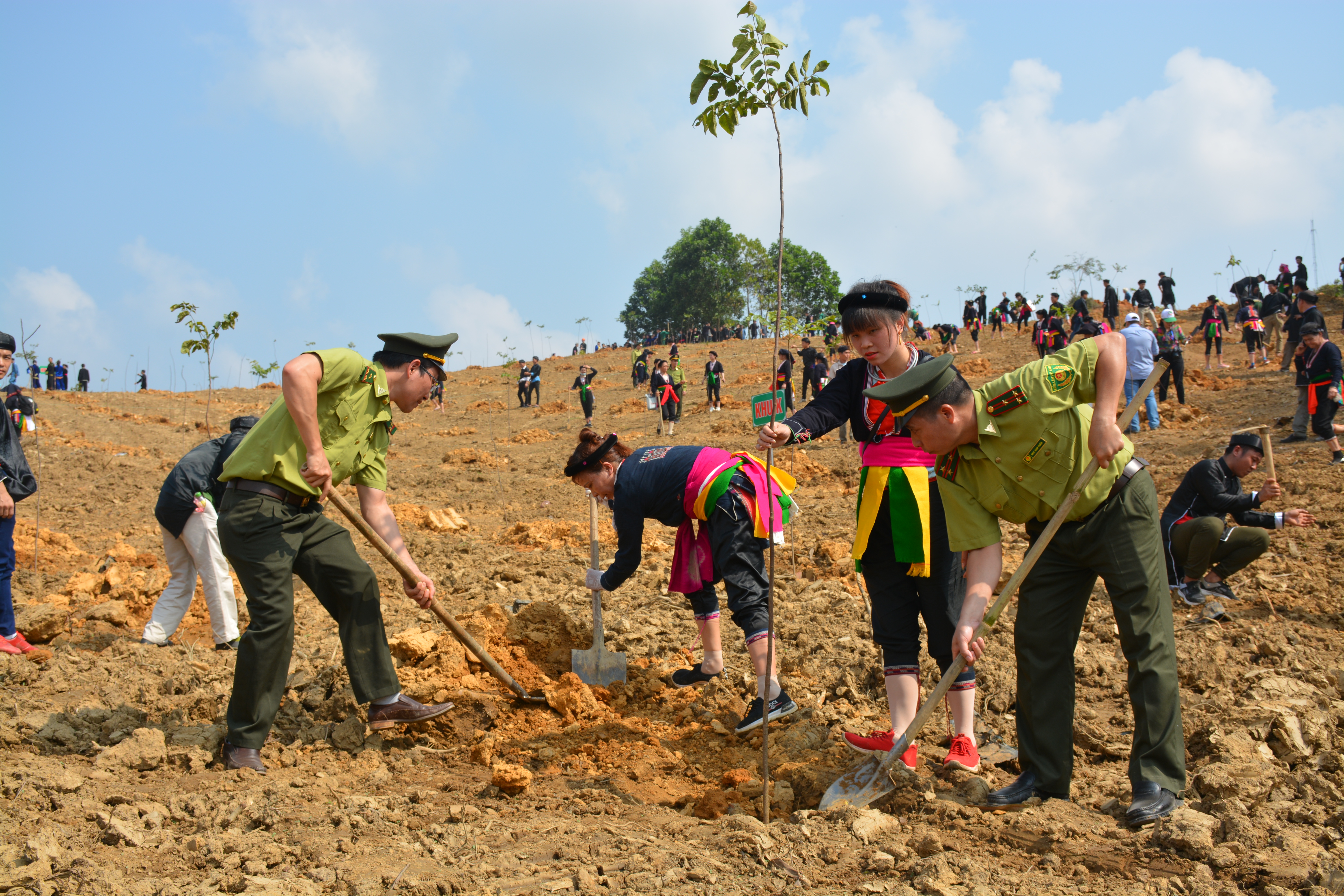 Tầm quan trọng của rừng ven biển trong ứng phó với biến đổi khí hậu